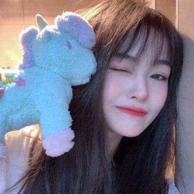 恐龙王
