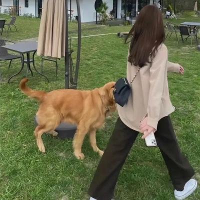 哥本哈根三温暖